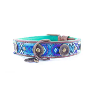 collier et laisse pour chien bleu