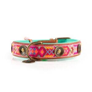 Colliers et laisses pour chien coloris orange