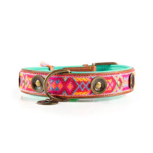 Colliers et laisses pour chien coloris orange