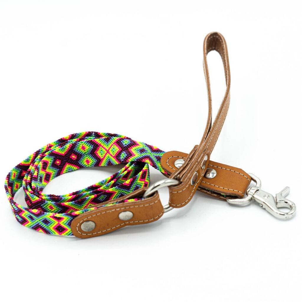 accessoires ensemble laisses et colliers