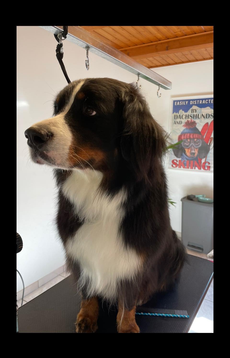 382842270_275421948708856_4093305226065037453_n