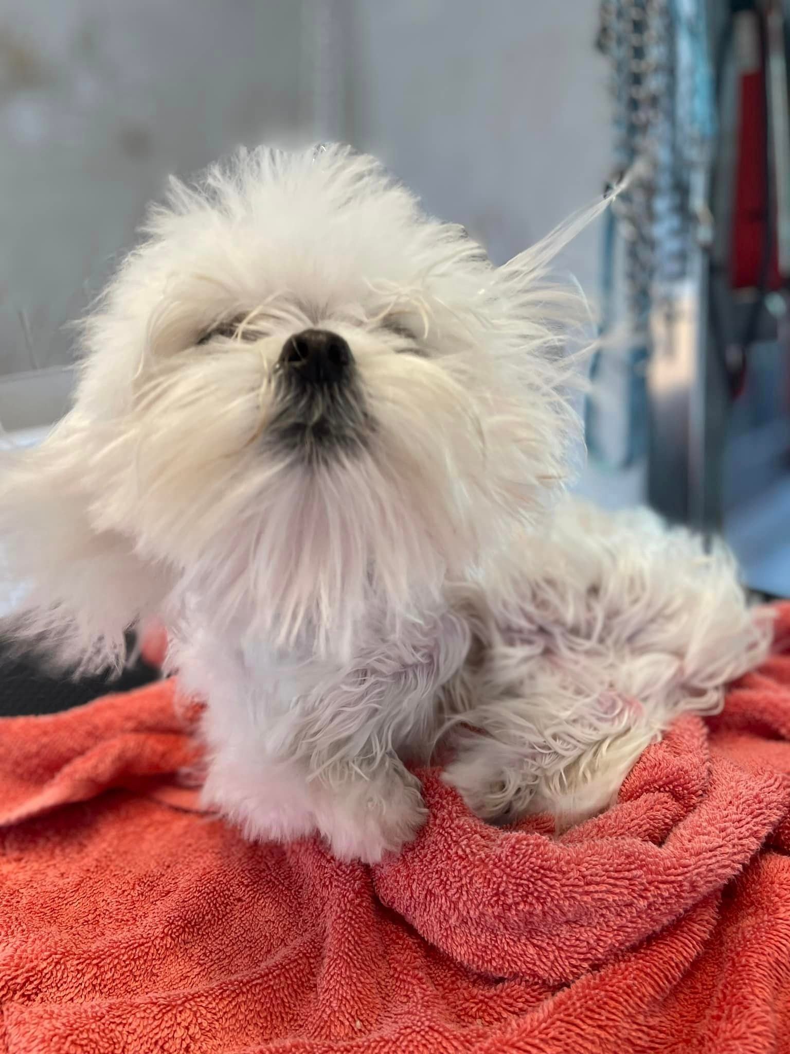 383084269_274770625440655_1732513240317765075_n