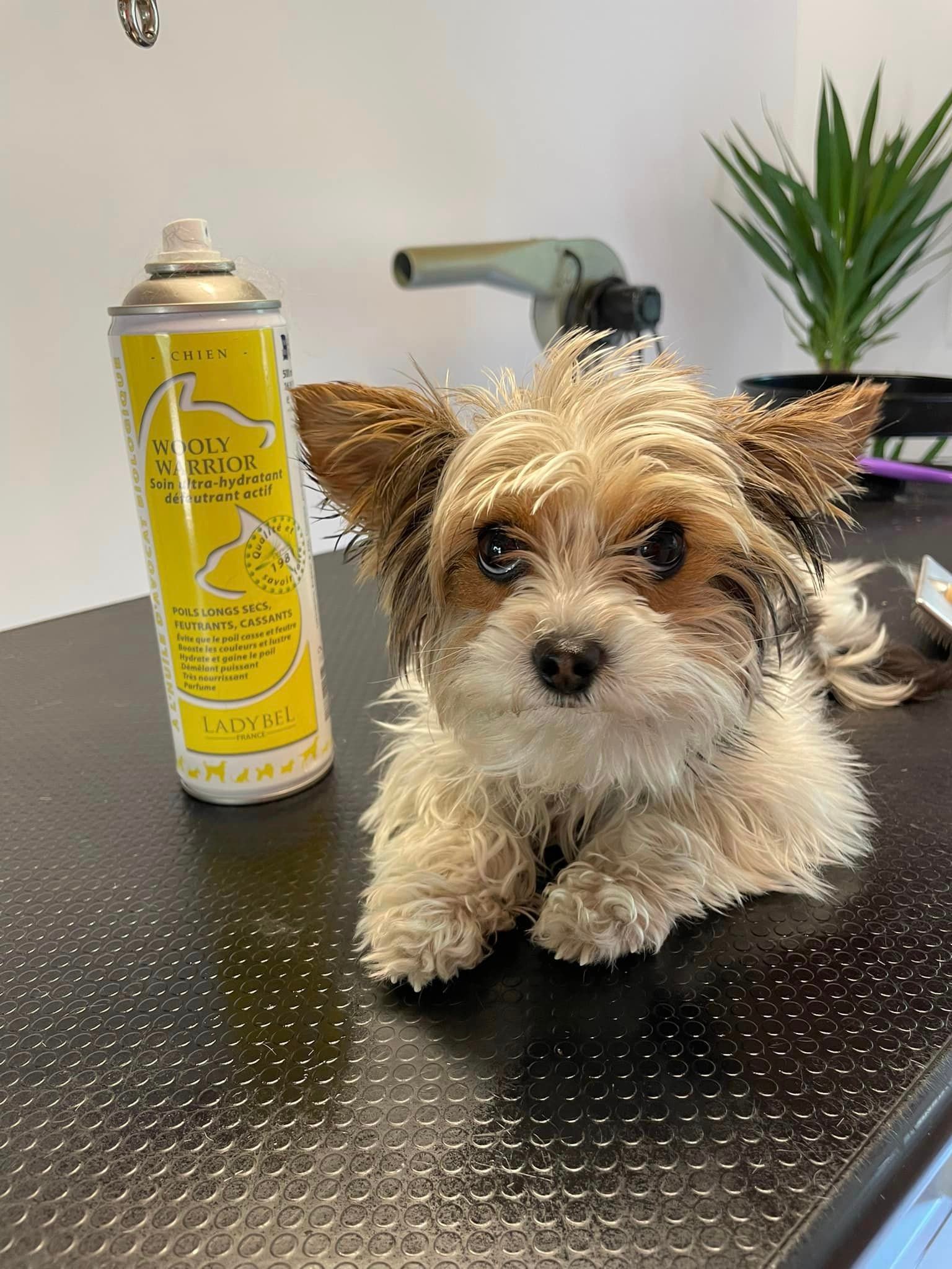 352411293_211240941773932_496638732924321489_n