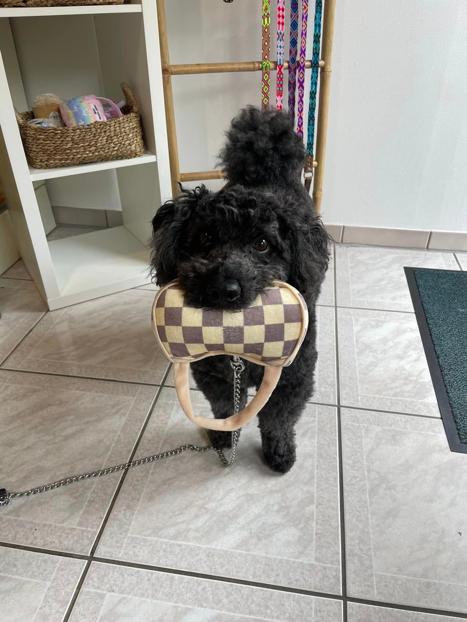 438100671_412368798347503_3085303517694130603_n