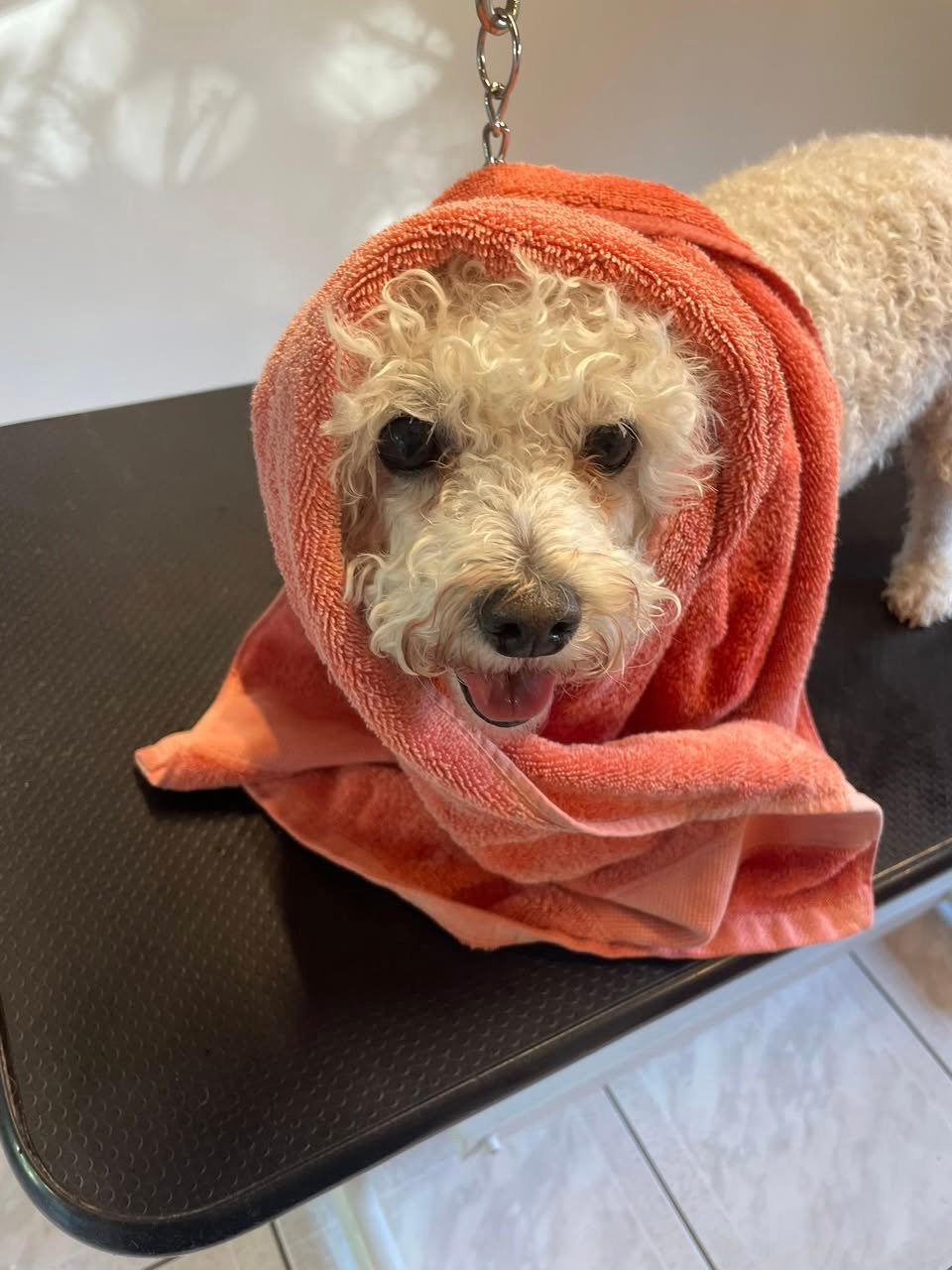 592444089_827712113479834_3608247368934564162_n