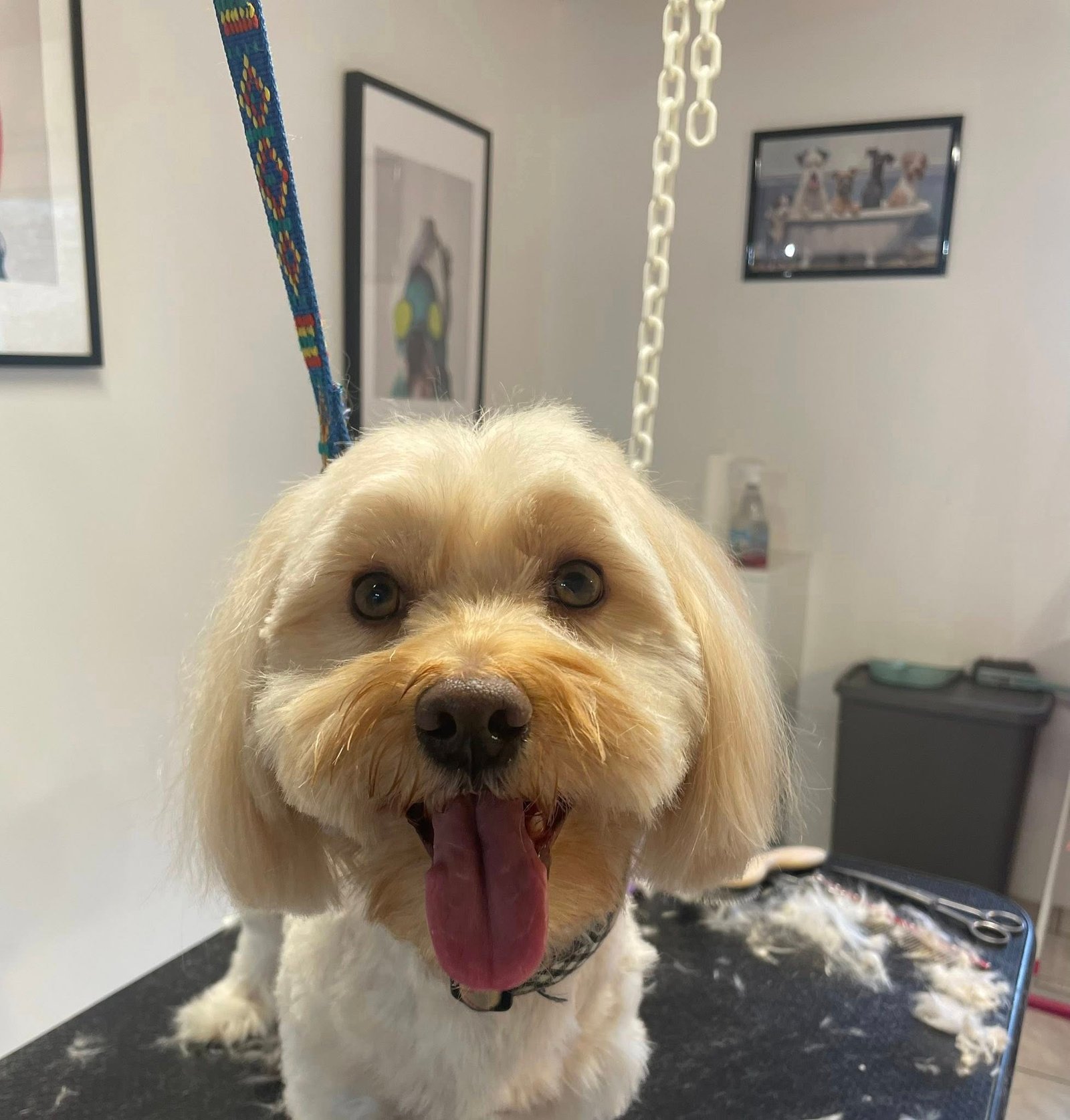 593691458_828320873418958_8600107799626801109_n