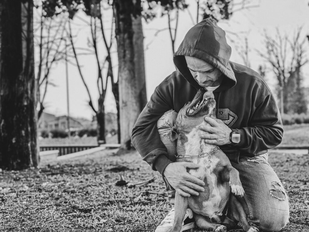 le Pitbull est un chien affectueux